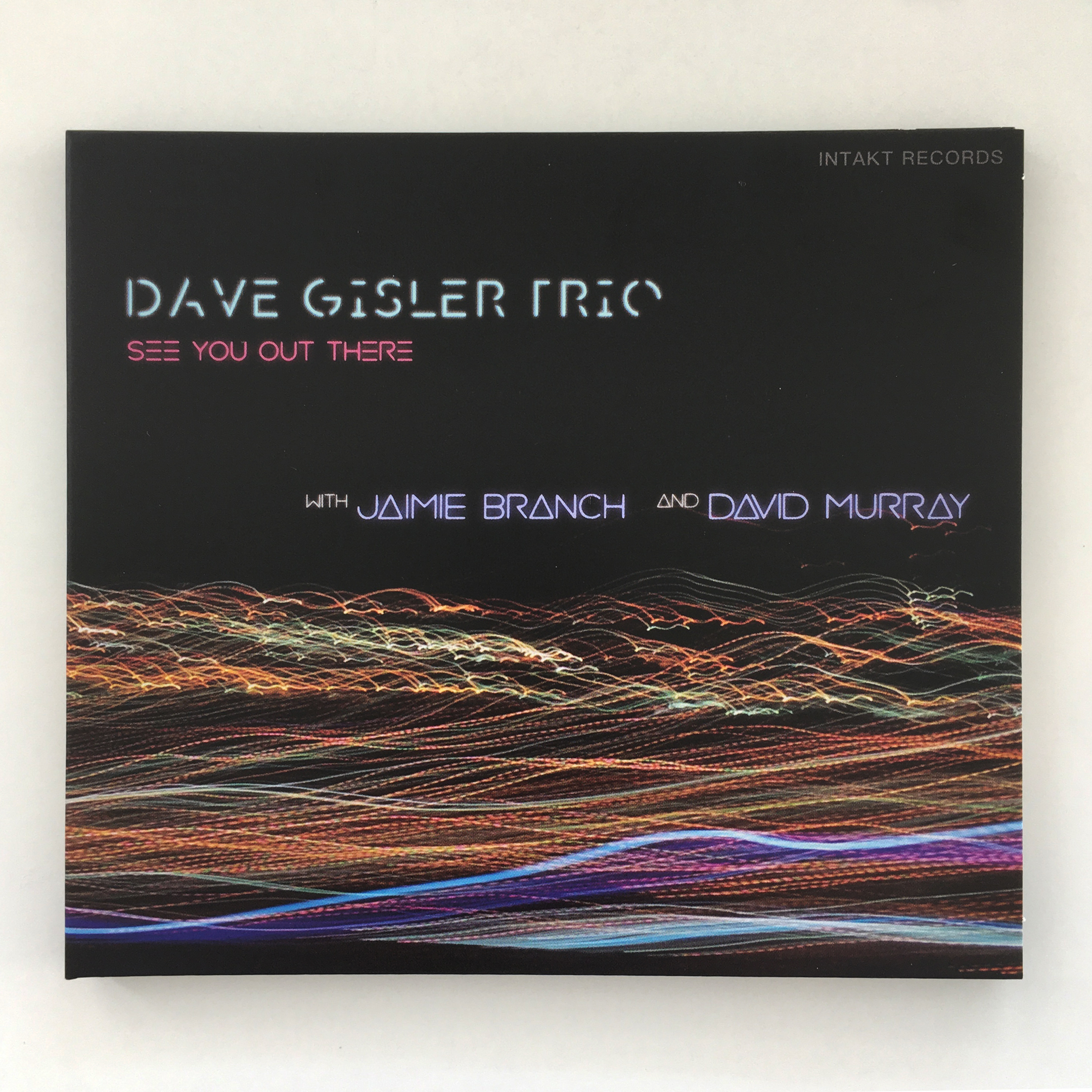 DAVE GISLER TRIO  WITH JAIMIE BRANCH AND DAVID MURRAY