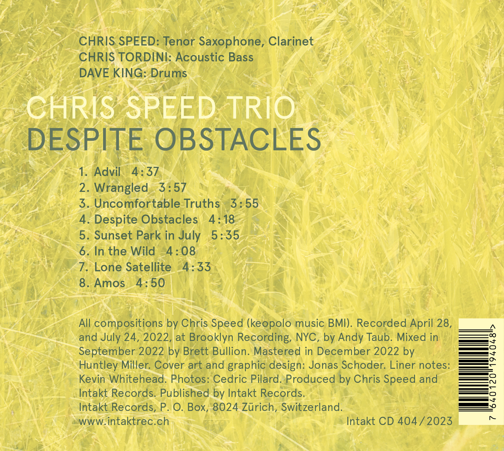 CHRIS SPEED TRIO
DESPITE OBSTACLES cover back