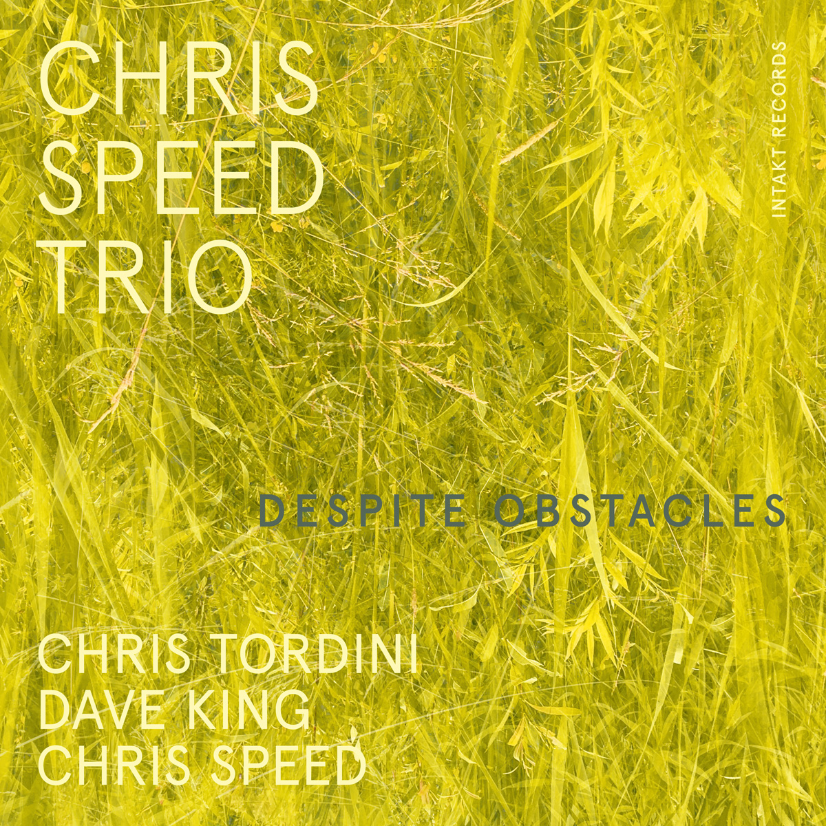 Cover Web:CHRIS SPEED TRIO. DESPITE OBSTACLES. Intakt CD 404 cover Jonas Schoder