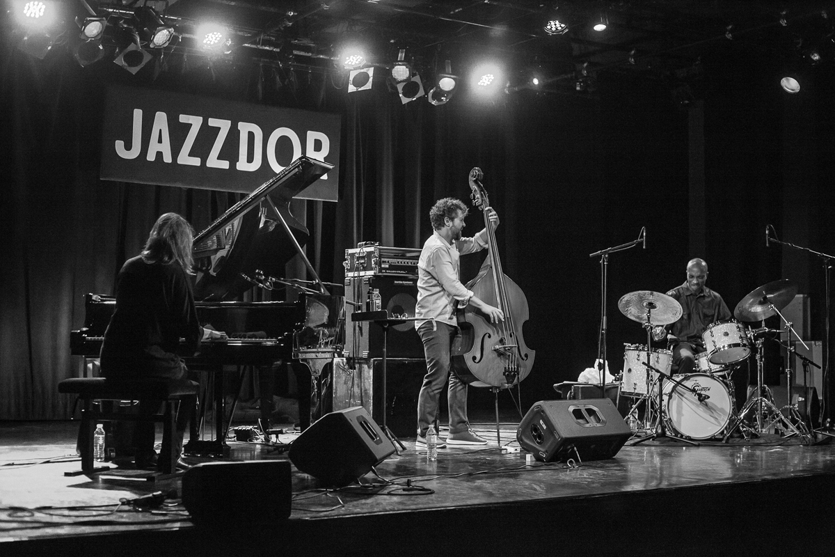 BORDERLANDS TRIO STEPHAN CRUMP - KRIS DAVIS - ERIC MCPHERSON WANDERSPHERE Intakt CD 370 Live at Jazzdor Strasbourg Photo by Patrick Lambin