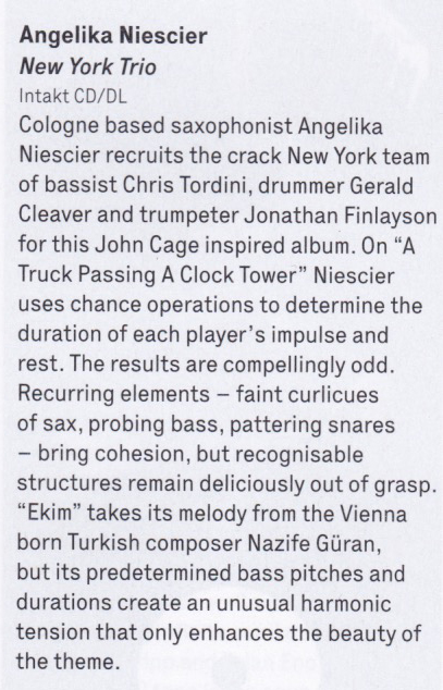 the wire reviews angelika niescier new york trio